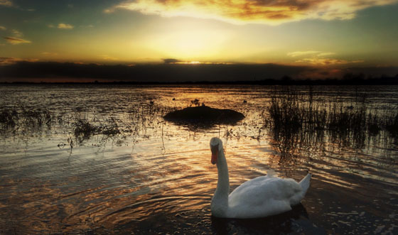 Mobile-Photography-iPhone-Tips-14