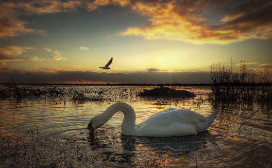 Mobile-Photography-iPhone-Tips-16