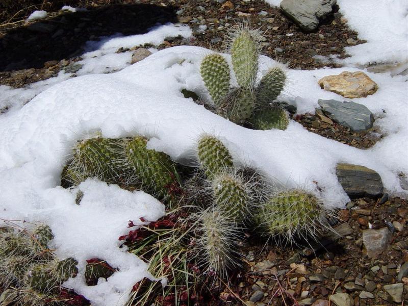 See the source image