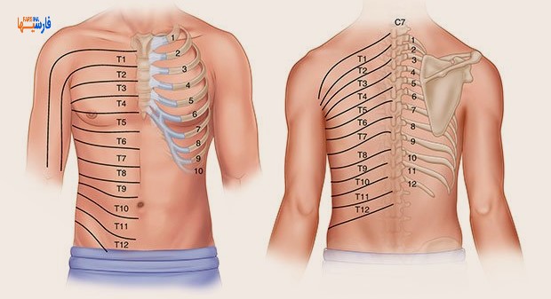 علت درد دنده چیست؟