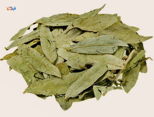 عوارض چای سنا