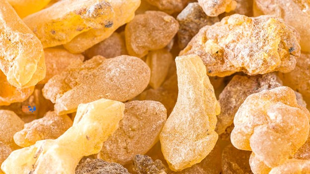 فواید کندر برای سلامتی