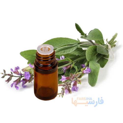 بهترین روغن ها برای خانمها