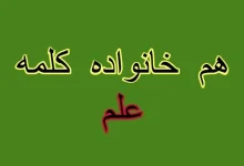 هم‌خانواده‌های کلمه علم