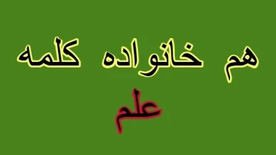 هم‌خانواده‌های کلمه علم